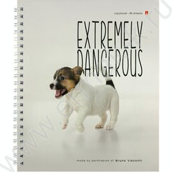 Тетрадь  96л клетка/спираль "Особо опасные собачки" ассорти | Фото 5