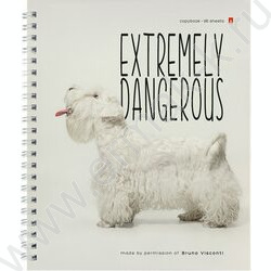 Тетрадь  96л клетка/спираль "Особо опасные собачки" ассорти | Фото 6