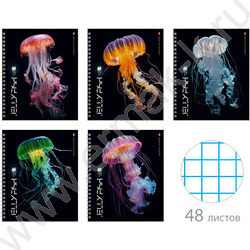 Тетрадь  48л клетка/спираль "Медузы фентези" ассорти | Фото 1