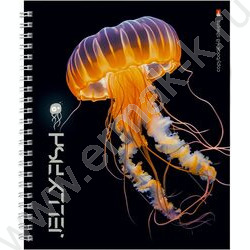Тетрадь  48л клетка/спираль "Медузы фентези" ассорти | Фото 2