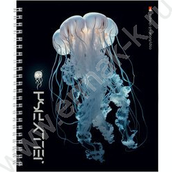 Тетрадь  48л клетка/спираль "Медузы фентези" ассорти | Фото 3