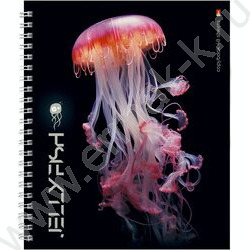 Тетрадь  48л клетка/спираль "Медузы фентези" ассорти | Фото 6