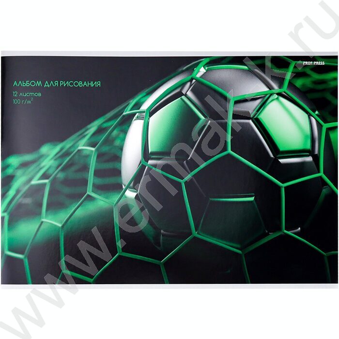Альбом д/зарисовок 12л "Зелёная футбольная сетка-1" | Фото 1