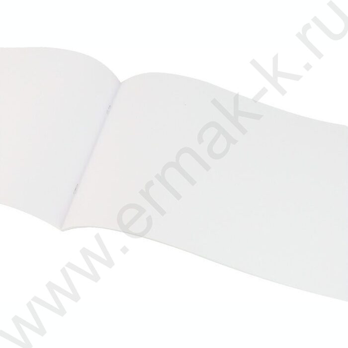 Альбом д/зарисовок 16л "Коронованные котики" | Фото 2