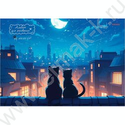 Альбом д/рисования-спираль 24л "Пара котов на крыше" | Фото 1