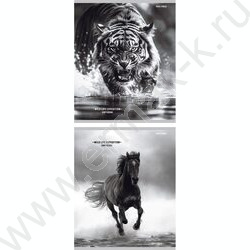 Тетрадь  48л клетка/спираль "Дикая природа-4" ассорти | Фото 1