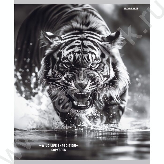 Тетрадь  48л клетка/спираль "Дикая природа-4" ассорти | Фото 2