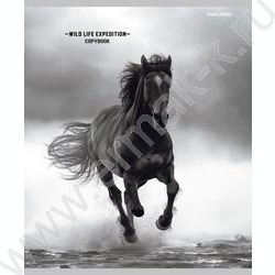 Тетрадь  48л клетка/спираль "Дикая природа-4" ассорти | Фото 3