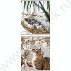 Тетрадь  48л клетка/спираль "Уютные котики" ассорти | Фото 1