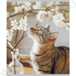 Тетрадь  48л клетка/спираль "Уютные котики" ассорти | Фото 3