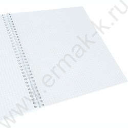 Тетрадь  60л А4 клетка/спираль "Россия-14" | Фото 2