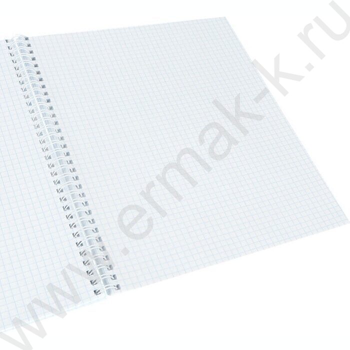 Тетрадь  60л А4 клетка/спираль "Россия-14" | Фото 2