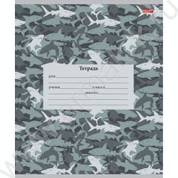 Тетрадь  12л линейка косая дополнительная "Микс милитари" 5видов | Фото 3