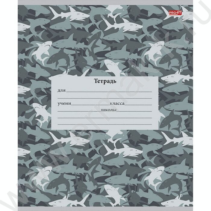 Тетрадь  12л линейка косая дополнительная "Микс милитари" 5видов | Фото 3