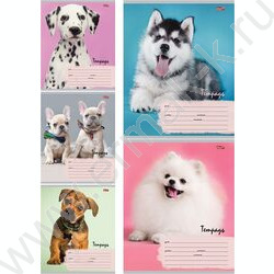 Тетрадь  12л линейка косая дополнительная "Милые щенки-6" 5видов | Фото 1