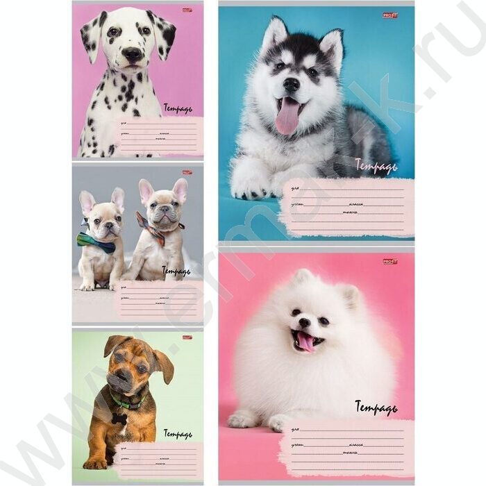 Тетрадь  12л линейка косая дополнительная "Милые щенки-6" 5видов | Фото 1