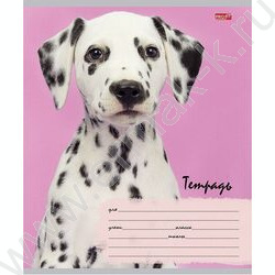 Тетрадь  12л линейка косая дополнительная "Милые щенки-6" 5видов | Фото 2