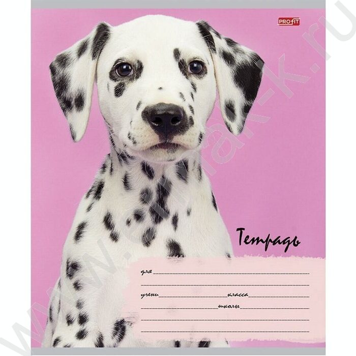 Тетрадь  12л линейка косая дополнительная "Милые щенки-6" 5видов | Фото 2