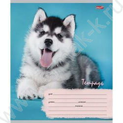 Тетрадь  12л линейка косая дополнительная "Милые щенки-6" 5видов | Фото 3