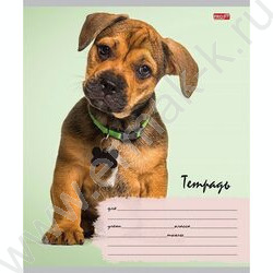 Тетрадь  12л линейка косая дополнительная "Милые щенки-6" 5видов | Фото 4