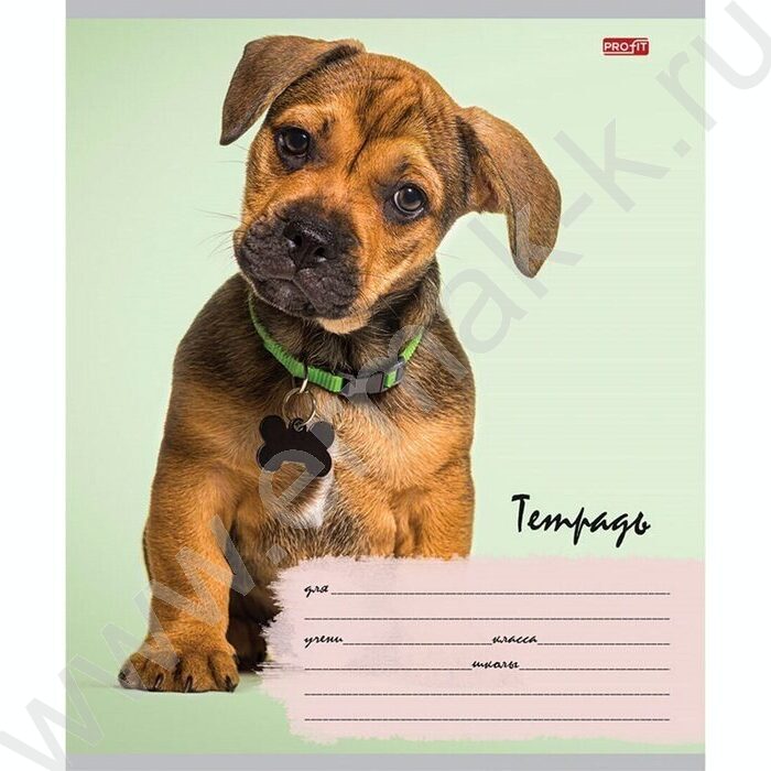 Тетрадь  12л линейка косая дополнительная "Милые щенки-6" 5видов | Фото 4