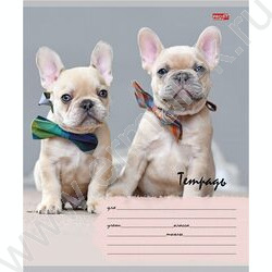 Тетрадь  12л линейка косая дополнительная "Милые щенки-6" 5видов | Фото 5