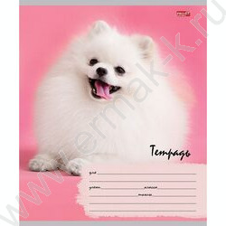 Тетрадь  12л линейка косая дополнительная "Милые щенки-6" 5видов | Фото 6