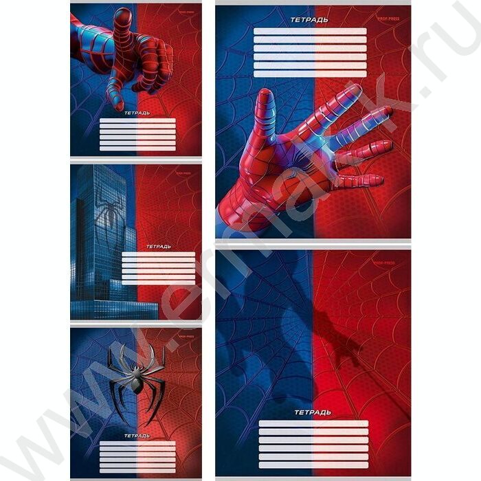 Тетрадь  12л клетка "Спайдер синий" 5видов | Фото 1