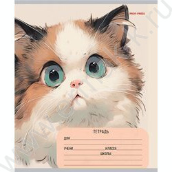 Тетрадь  12л линейка косая дополнительная "Микс" 5видов | Фото 4