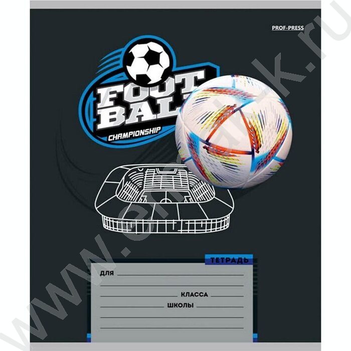 Тетрадь  12л линейка косая дополнительная "Спорт и мяч" 5видов | Фото 3