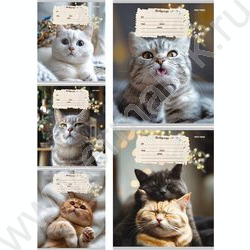 Тетрадь  12л линейка косая дополнительная "Кошечки" твин-лак/ 5видов | Фото 1