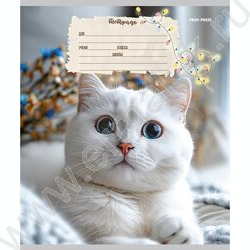 Тетрадь  12л линейка косая дополнительная "Кошечки" твин-лак/ 5видов | Фото 2