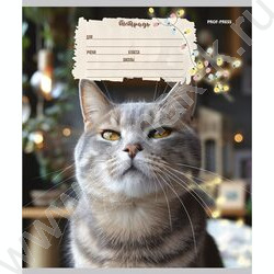 Тетрадь  12л линейка косая дополнительная "Кошечки" твин-лак/ 5видов | Фото 3