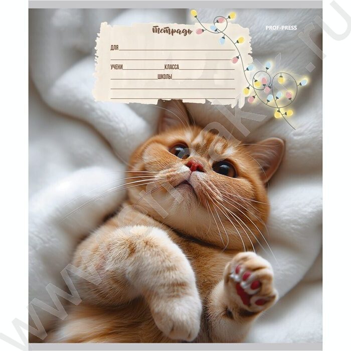 Тетрадь  12л линейка косая дополнительная "Кошечки" твин-лак/ 5видов | Фото 4