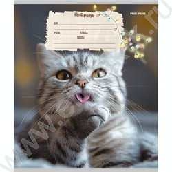 Тетрадь  12л линейка косая дополнительная "Кошечки" твин-лак/ 5видов | Фото 5