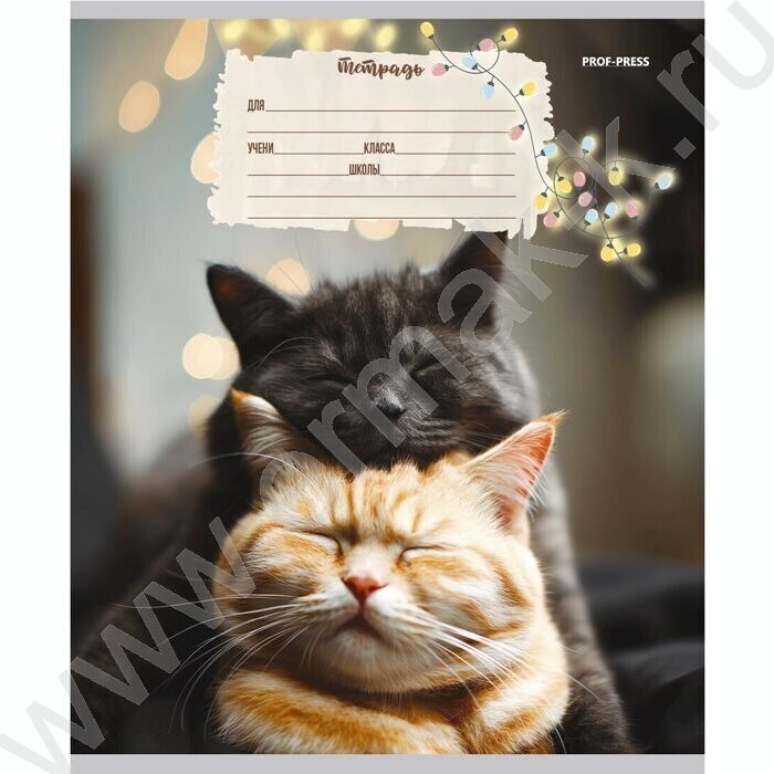 Тетрадь  12л линейка косая дополнительная "Кошечки" твин-лак/ 5видов | Фото 6