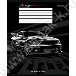 Тетрадь  12л линейка косая дополнительная "Шикарная машина" твин-лак/ 5видов | Фото 2