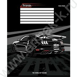 Тетрадь  12л линейка косая дополнительная "Шикарная машина" твин-лак/ 5видов | Фото 5