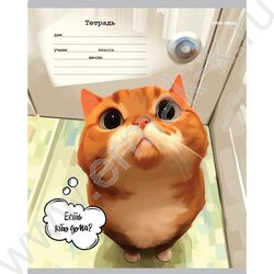 Тетрадь  18л клетка "Микс" 5видов | Фото 4