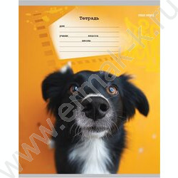 Тетрадь  18л клетка "Микс" 5видов | Фото 5