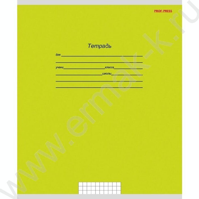 Тетрадь  18л клетка "Учусь на отлично-2" ассорти | Фото 5