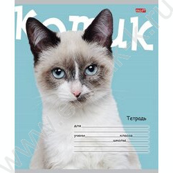 Тетрадь  24л клетка "Котик на цветном фоне" 5видов | Фото 4