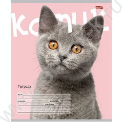 Тетрадь  24л клетка "Котик на цветном фоне" 5видов | Фото 5
