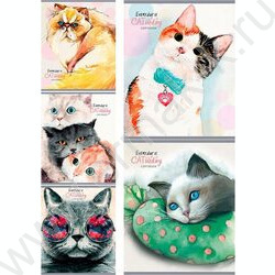 Тетрадь  40л клетка "Разнообразные котики" ассорти | Фото 1