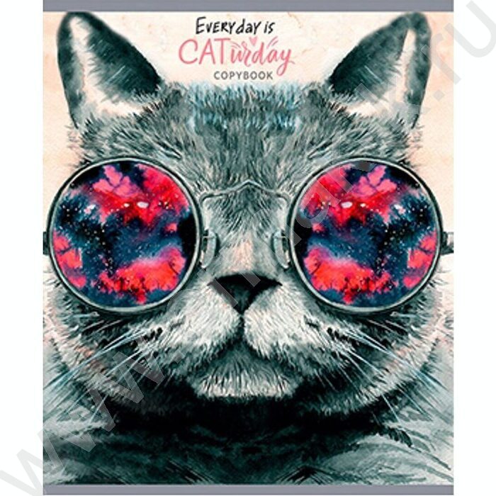 Тетрадь  40л клетка "Разнообразные котики" ассорти | Фото 4