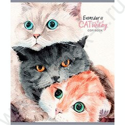 Тетрадь  40л клетка "Разнообразные котики" ассорти | Фото 5