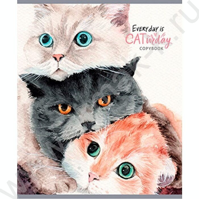 Тетрадь  40л клетка "Разнообразные котики" ассорти | Фото 5