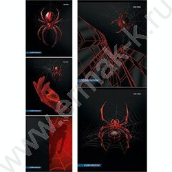 Тетрадь  48л клетка "Спайдер черный" | Фото 1