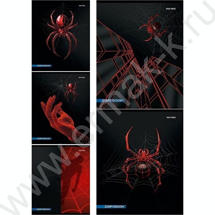 Тетрадь  48л клетка "Спайдер черный" | Фото 1