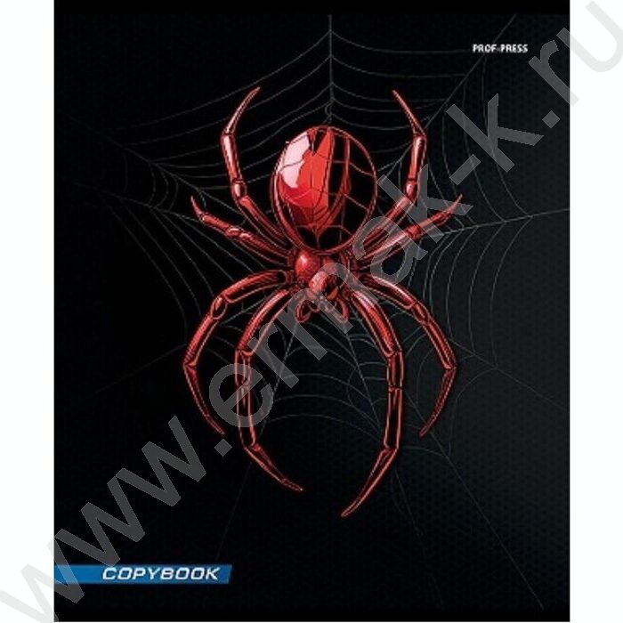 Тетрадь  48л клетка "Спайдер черный" | Фото 2